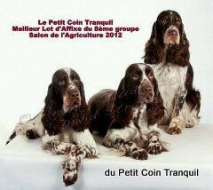 Cherlock homes Du petit coin tranquil