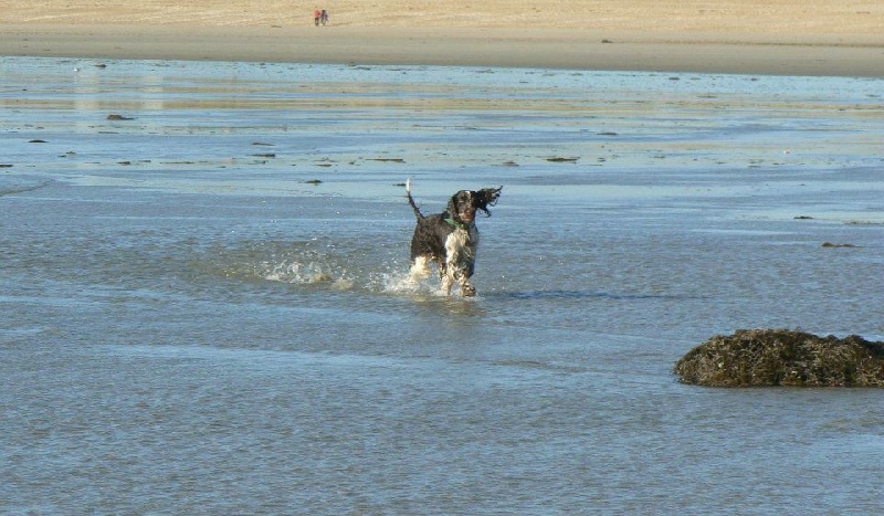 Plage